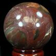 Colorful Petrified Wood Sphere #36960-2
